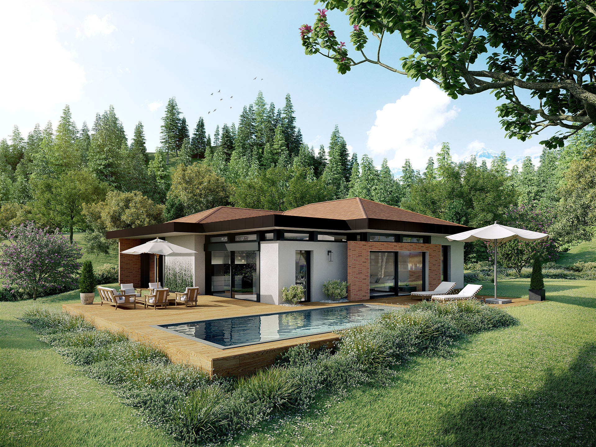 3D realization of a detached house in the country with swimming pool