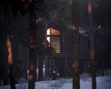 3D render of a cabin architecture project by night in the forest